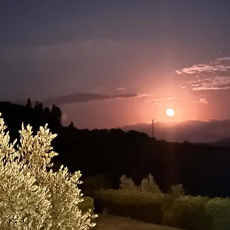 Vista Piscina Casallario Daire *